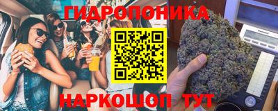 шишки Беслан
