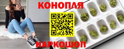 каннабис Берёзовский
